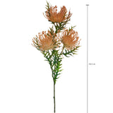 Protea per 3 fiori • 61 cm