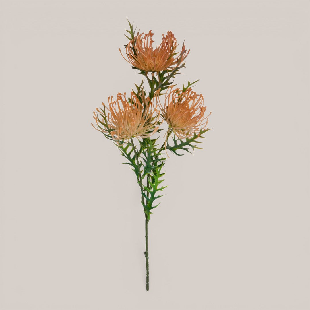 Protea per 3 fiori • 61 cm