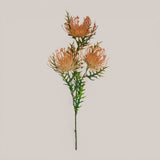 Protea per 3 fiori • 61 cm