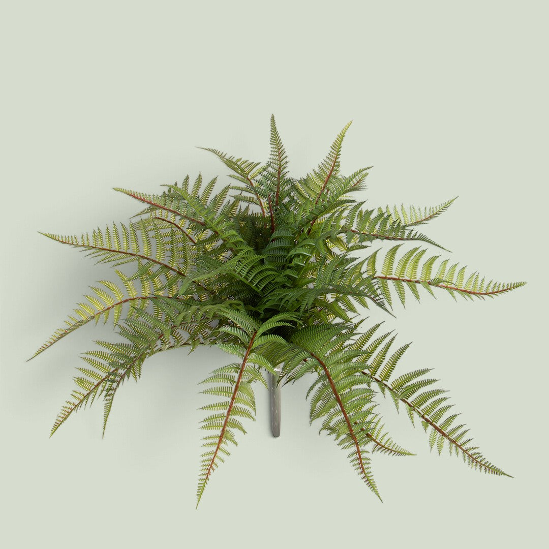 4 Pezzi • Felce Di Bosco • 46 cm