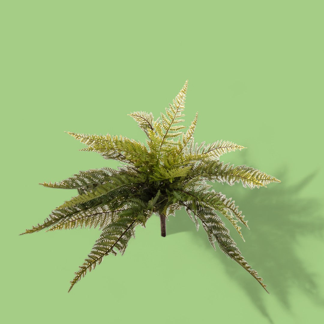 Felce boston artificiale •  60 cm