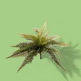Felce boston artificiale •  60 cm