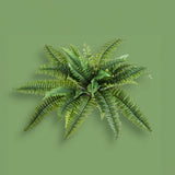 Verde artificiale Felce boston per 4 36 foglie • 52 cm