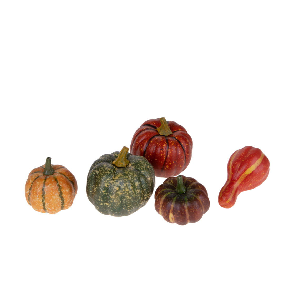 3 Pezzi • Zucche 5 Pz assortito • 10 cm