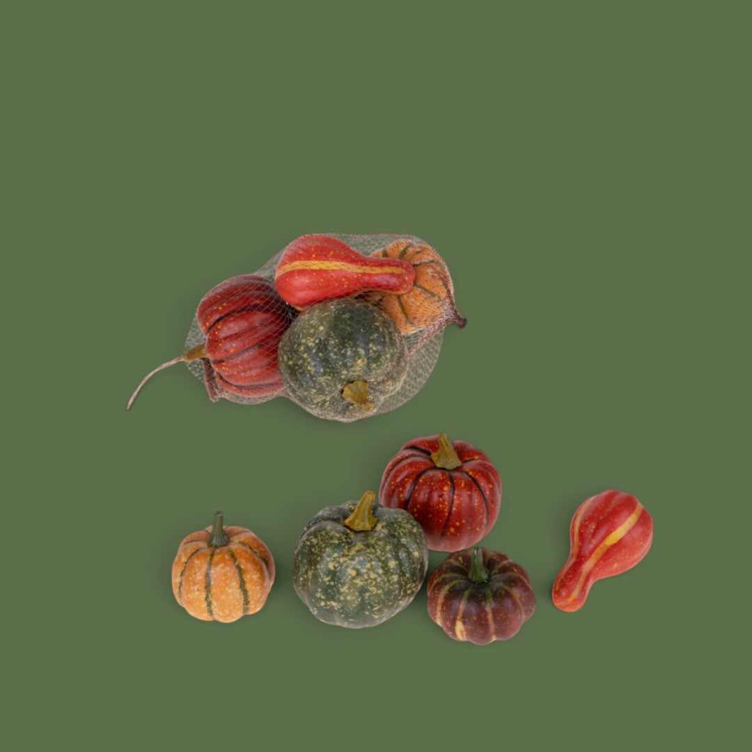 3 Pezzi • Zucche 5 Pz assortito • 10 cm