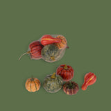 3 Pezzi • Zucche 5 Pz assortito • 10 cm