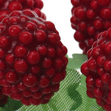 18 Pezzi •  More 6 Pz  • 12 cm