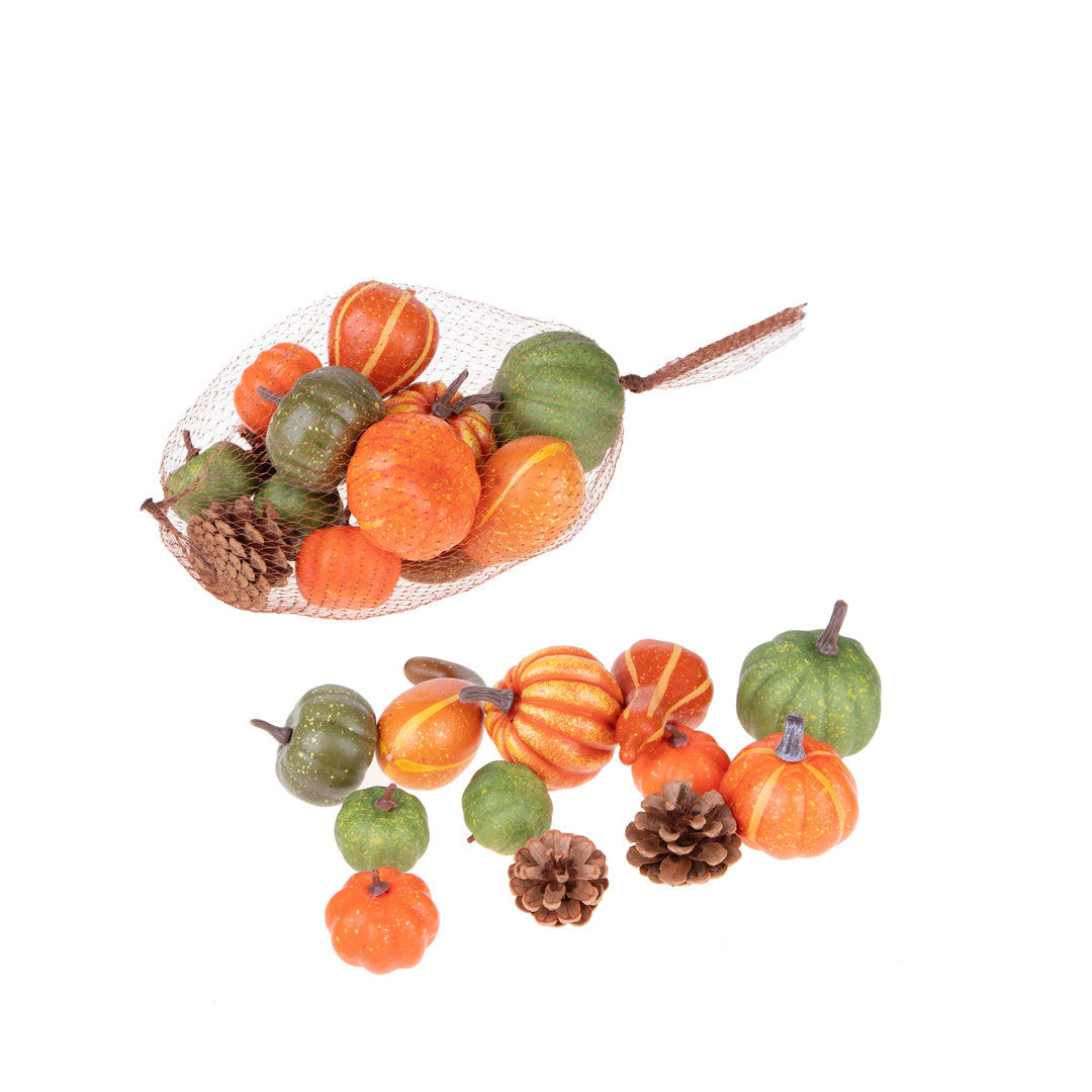 2 Pezzi •  Zucche 10 Pz Assortite  • 14 cm