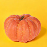 Zucca artificiale • 24 cm