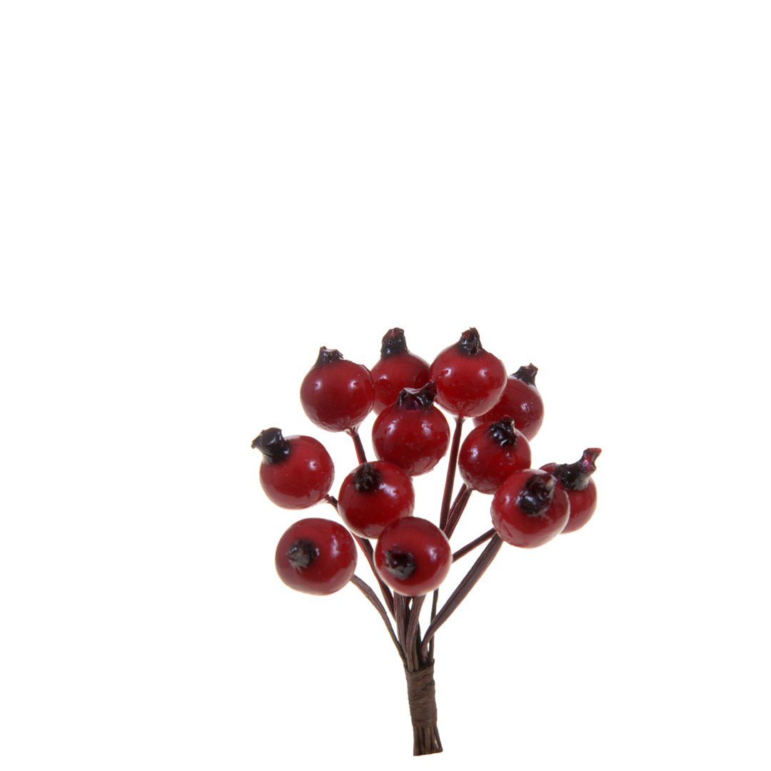 24 Pezzi •  Bacche Pirichanta 12 Pz Dm  • 10 cm