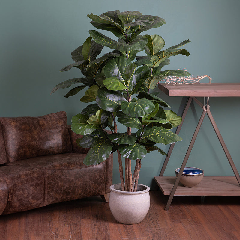 Verde artificiale Ficus lyrata • 180 cm