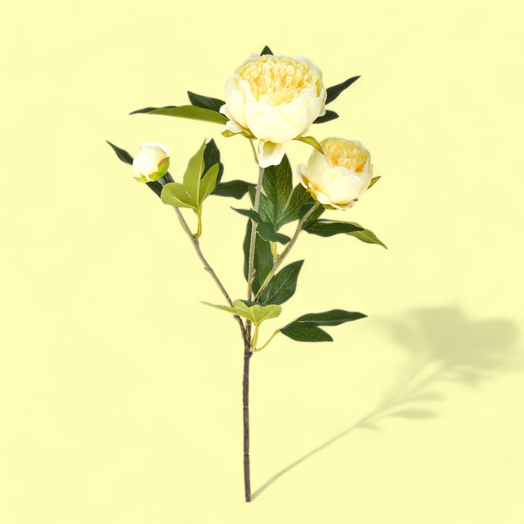 3 Pezzi • Fiore di Peonia artificiale con 3 fiori • 74 cm