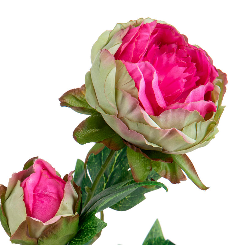 2 Pezzi • Peonia artificiale con 2 fiori • 60 cm