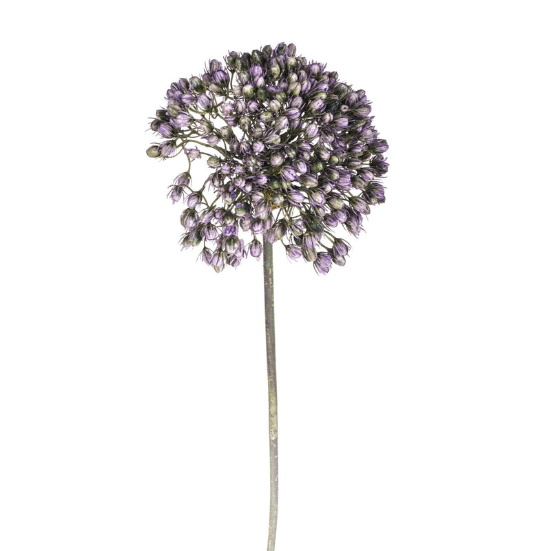 2 Pezzi • Fiore di allium artificiale • 65 cm