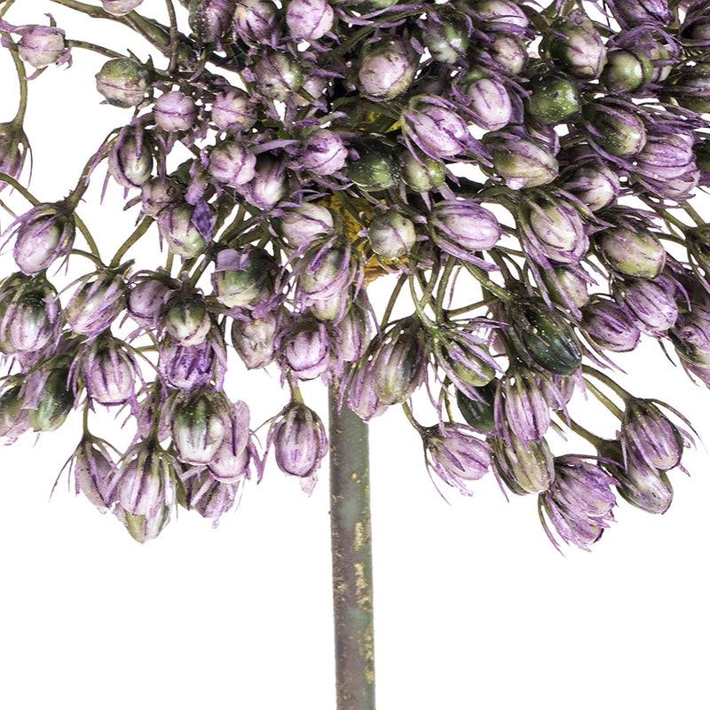 2 Pezzi • Fiore di allium artificiale • 65 cm