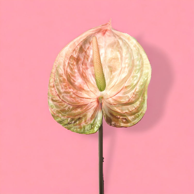 3 Pezzi • Fiore di anthurium artificiale • 70 cm