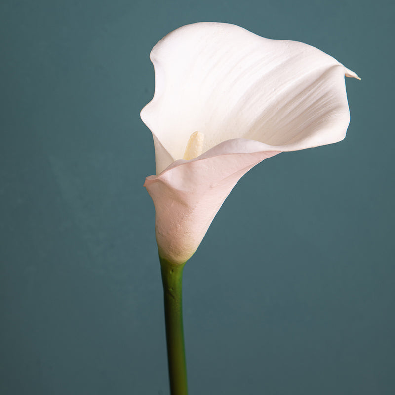 4 Pezzi • Fiore di calla aperta artificiale • 66 cm