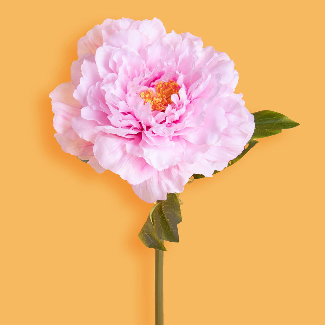 6 Pezzi • Fiore Peonia artificiale • 65 cm