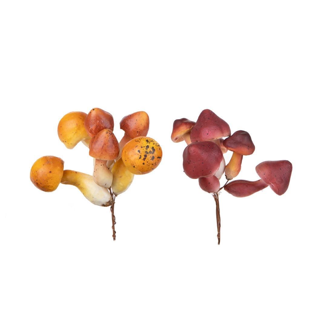 6 Pezzi • Pick Funghetti 6 Pz assortito • 12 cm