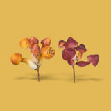 6 Pezzi • Pick Funghetti 6 Pz assortito • 12 cm