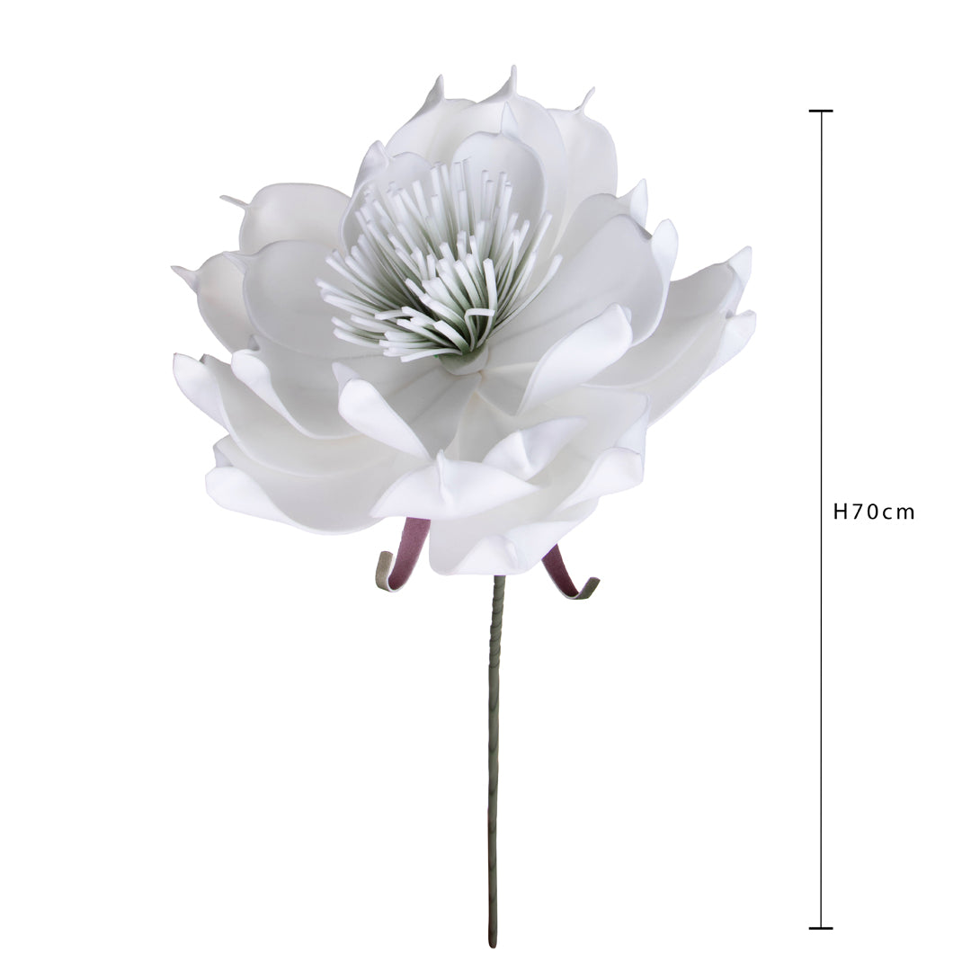 Ninfea • 70 cm