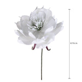 Ninfea • 70 cm