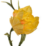 Tulipano 3 Fiori • 185 cm