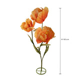 Tulipano 3 Fiori • 185 cm