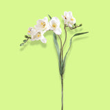 2 Pezzi • Fiore fresia artificiale 2 fiori • 63 cm