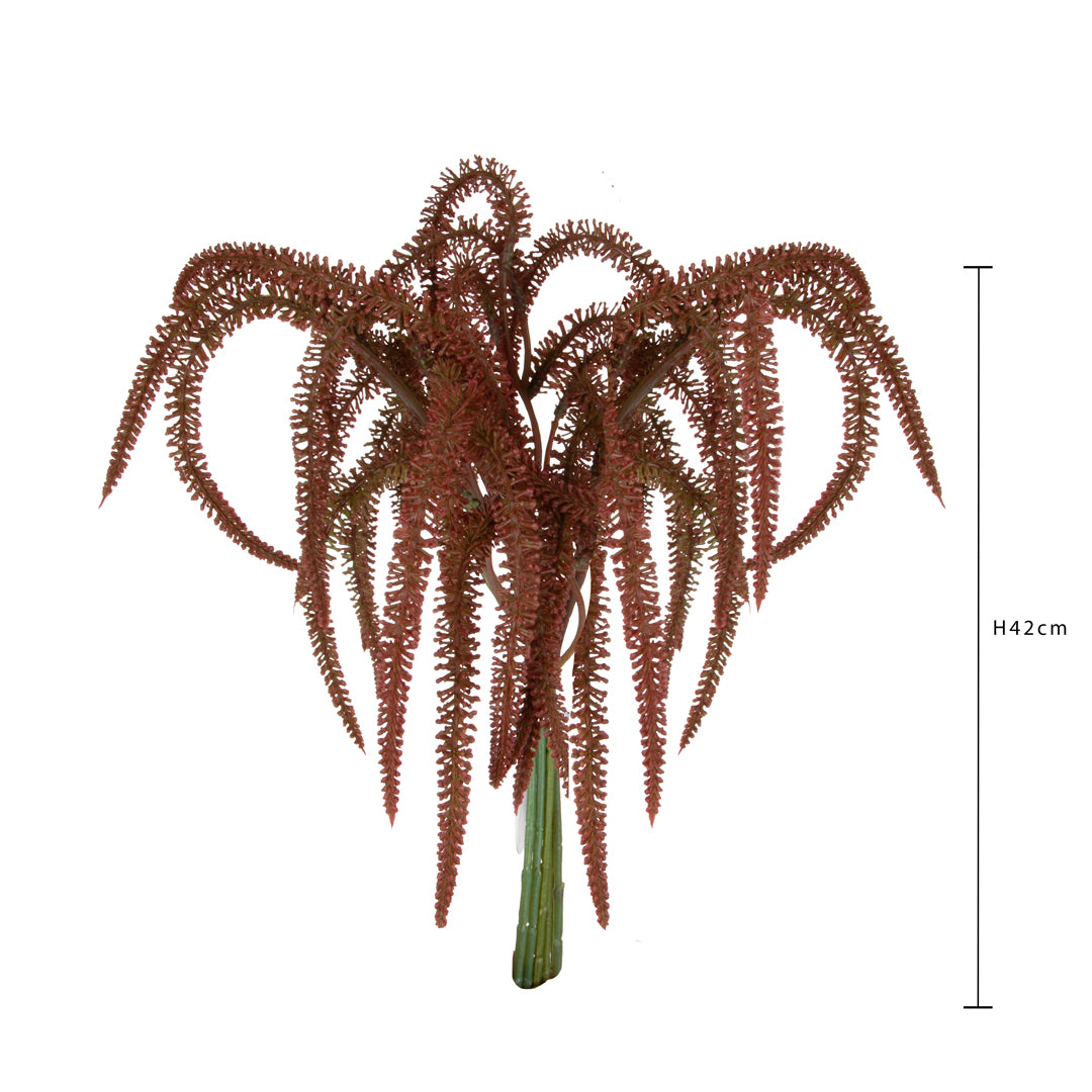 Mazzo Amarantus • 42 cm