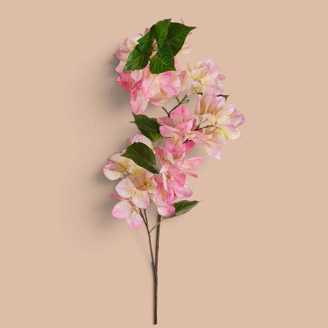 4 Pezzi • Bouganville • 93 cm