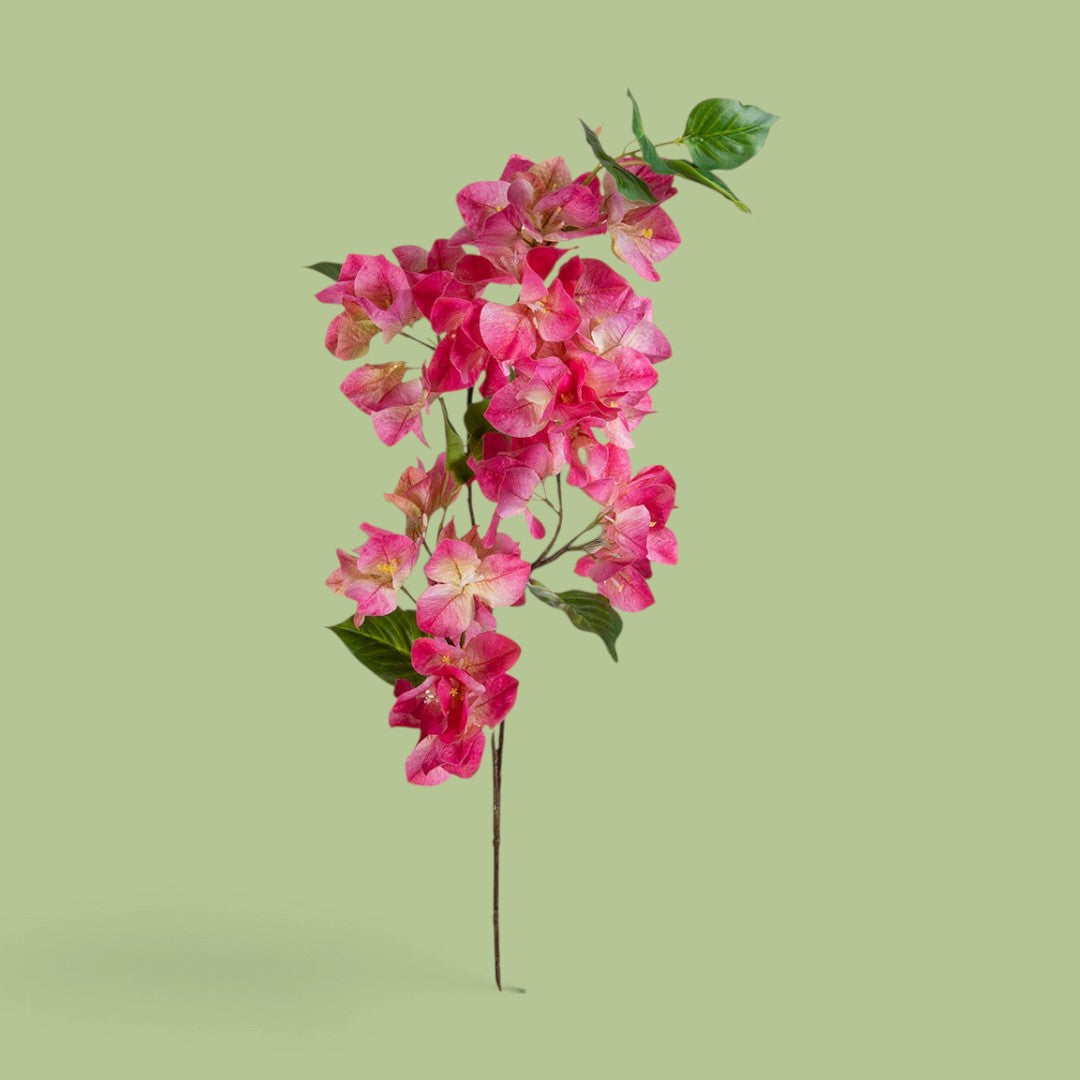 4 Pezzi • Bouganville • 93 cm