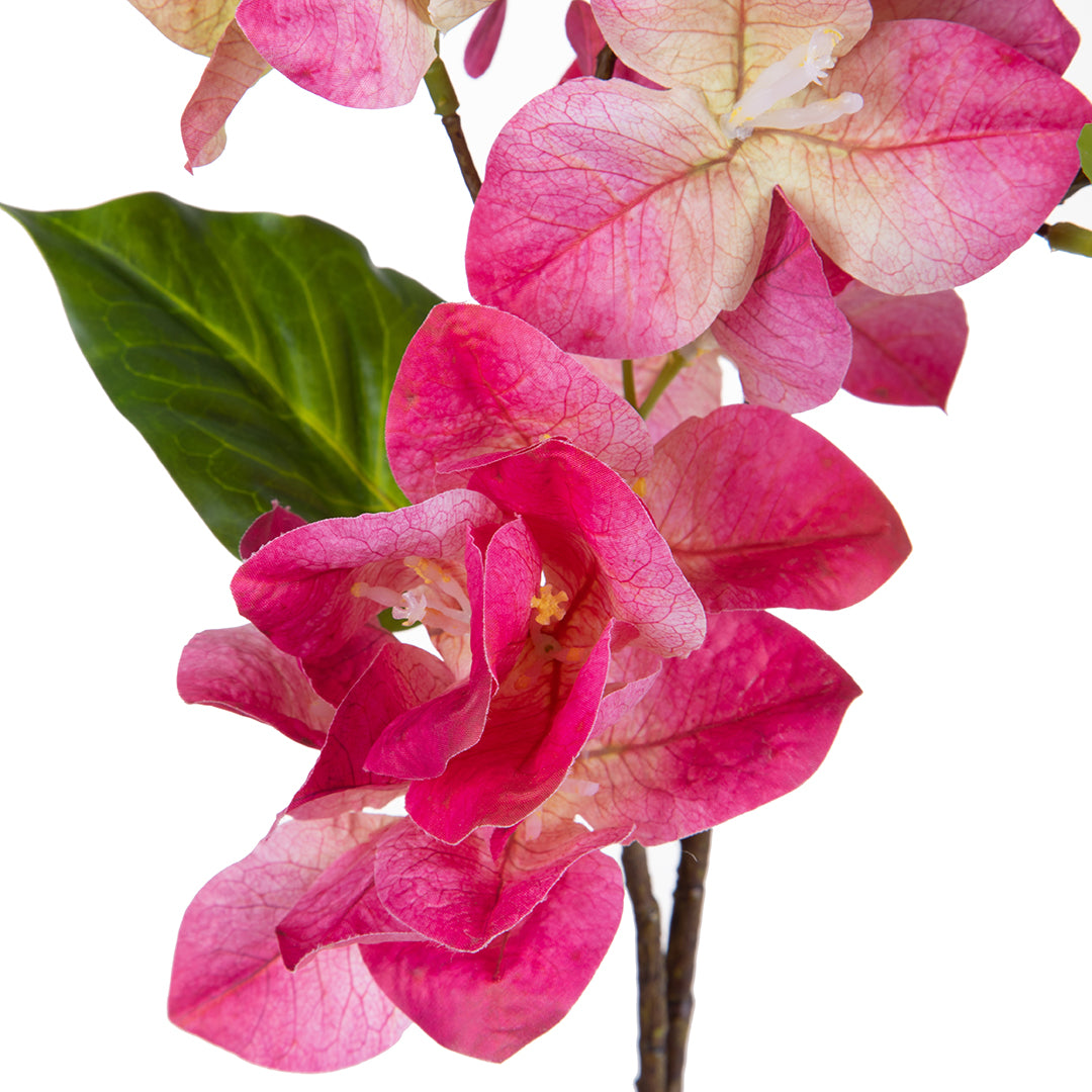 Bouganville • 93 cm