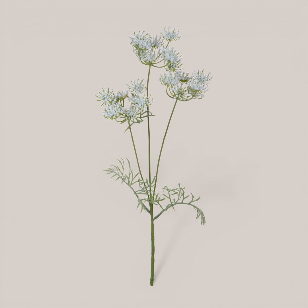 Aneto per 3 rami •  51 cm
