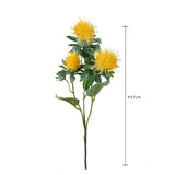 Carthamus per 3 fiori •  57 cm