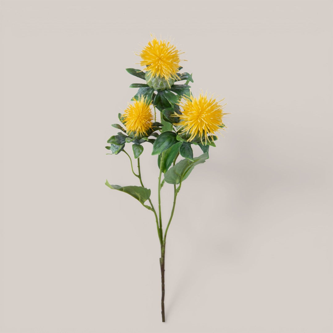 Carthamus per 3 fiori •  57 cm