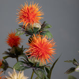 Carthamus per 3 fiori •  57 cm