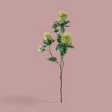 12 Pezzi • Carthamus per 3 fiori •  57 cm