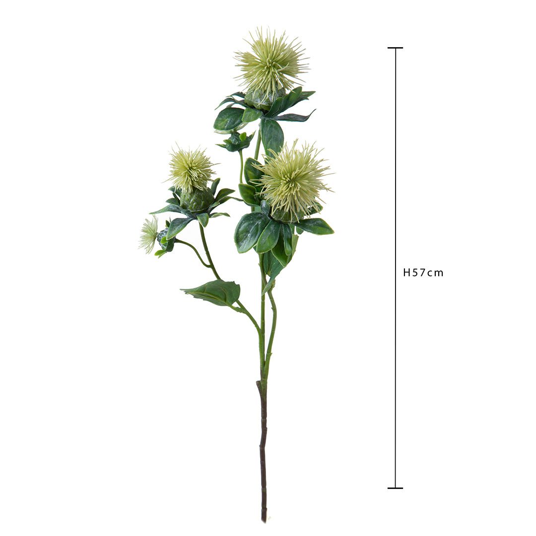 Carthamus per 3 fiori •  57 cm