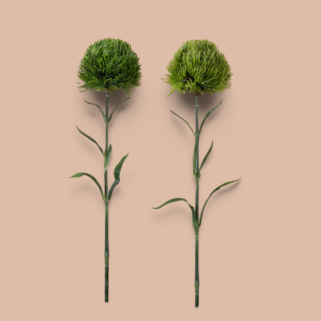 12 Pezzi • Barbatus Green Ball •  53 cm