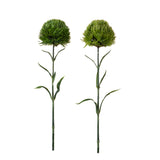 Barbatus Green Ball •  53 cm