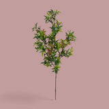 12 Pezzi • Mini Piracanta Ramo per 4 fiori • 62 cm