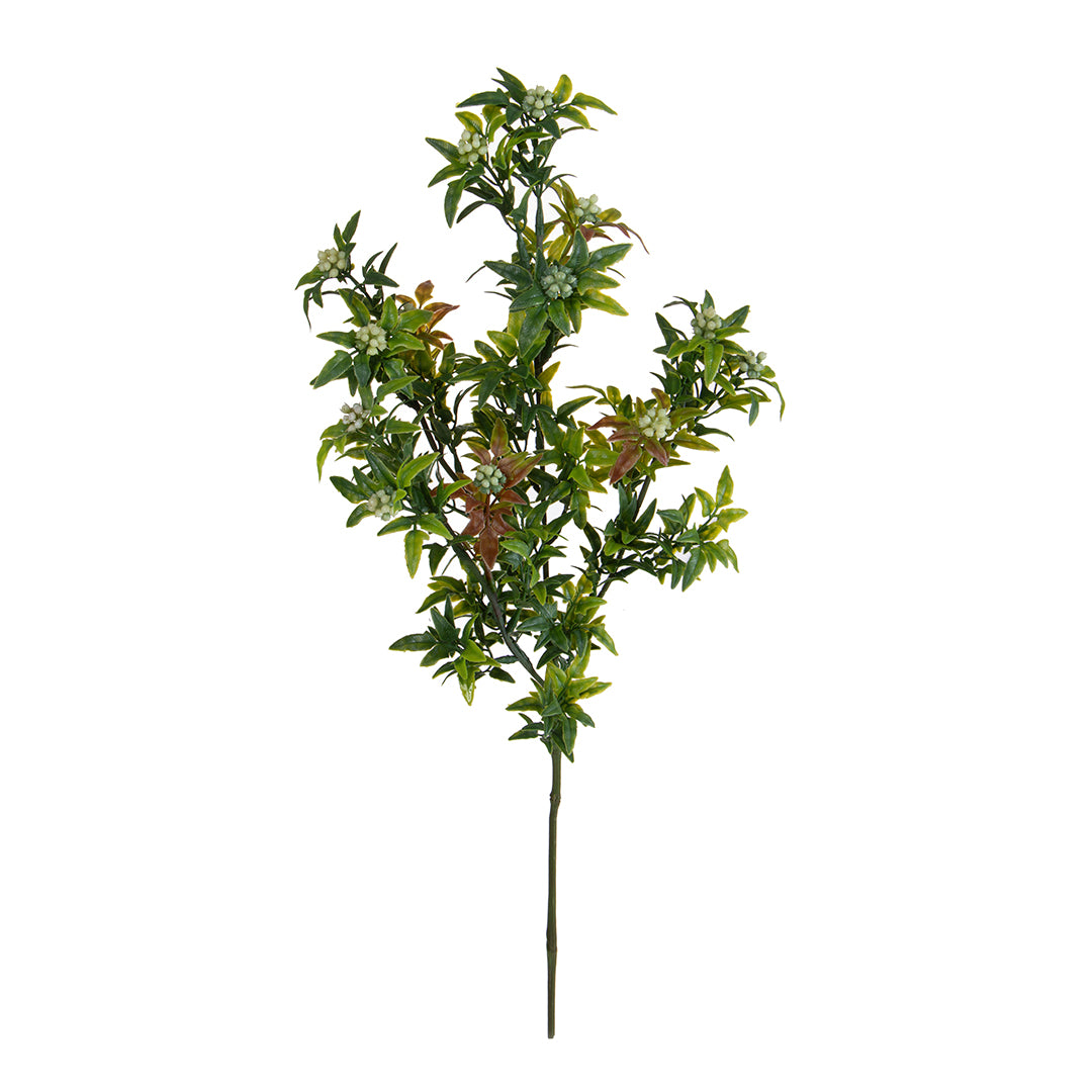 Mini Piracanta Ramo per 4 fiori • 62 cm