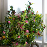 Mini Piracanta Ramo per 4 fiori • 62 cm