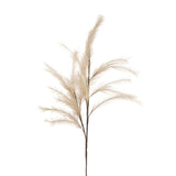 2 Pezzi • Pampas artificiale 24 diramzioni • 115 cm