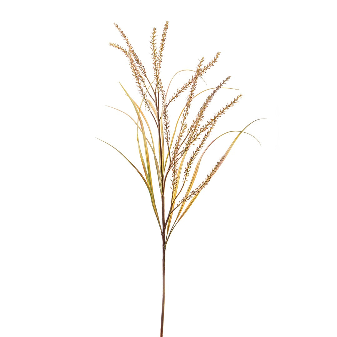 Fiore Pennisetum artificiale con 14 diramazioni • 130 cm