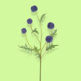 2 Pezzi • Echinops artificiale per 5 fiori • 74 cm