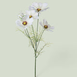 12 Pezzi • Cosmos In Fiore per 5 • 68 cm