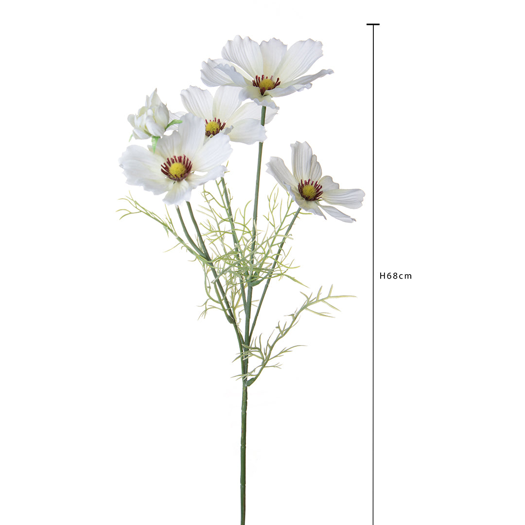 Cosmos In Fiore per 5 • 68 cm