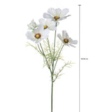 Cosmos In Fiore per 5 • 68 cm